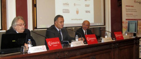 Arag�n-Fuego, Vicente M�s