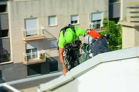Trabajos verticales.